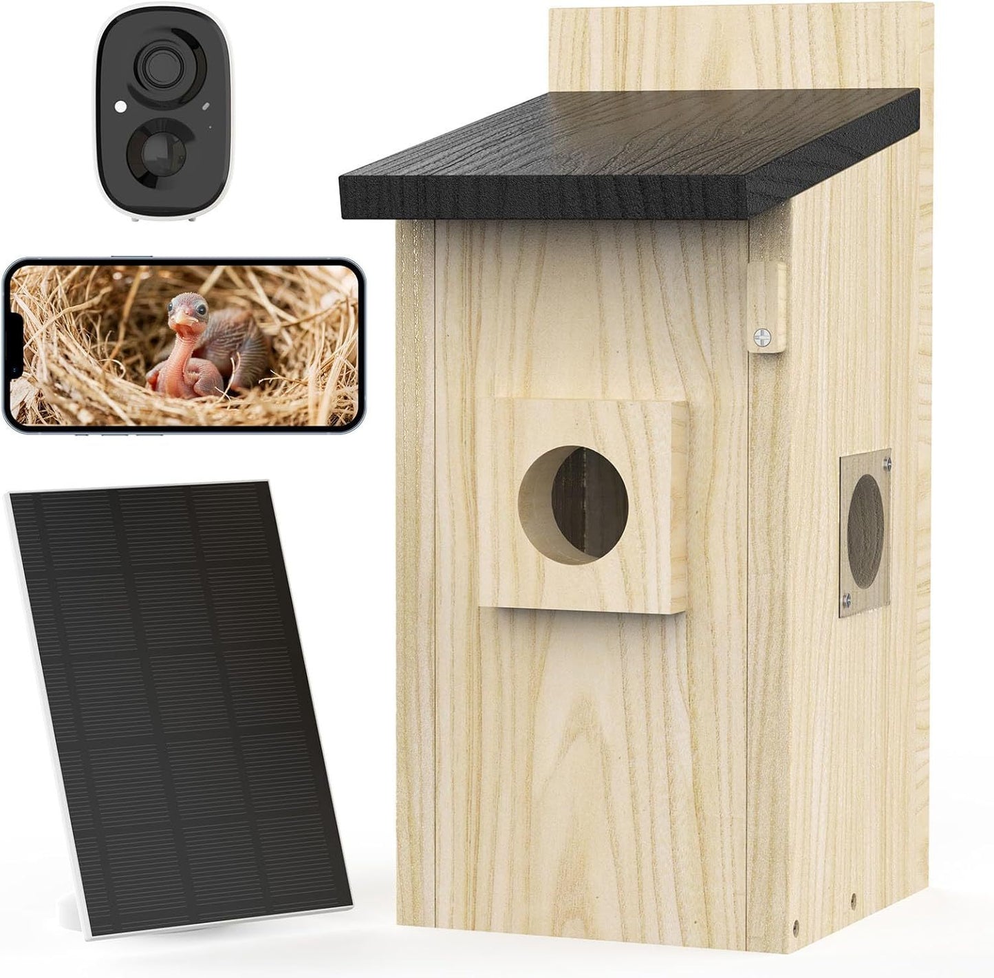 Smart Bird Houses