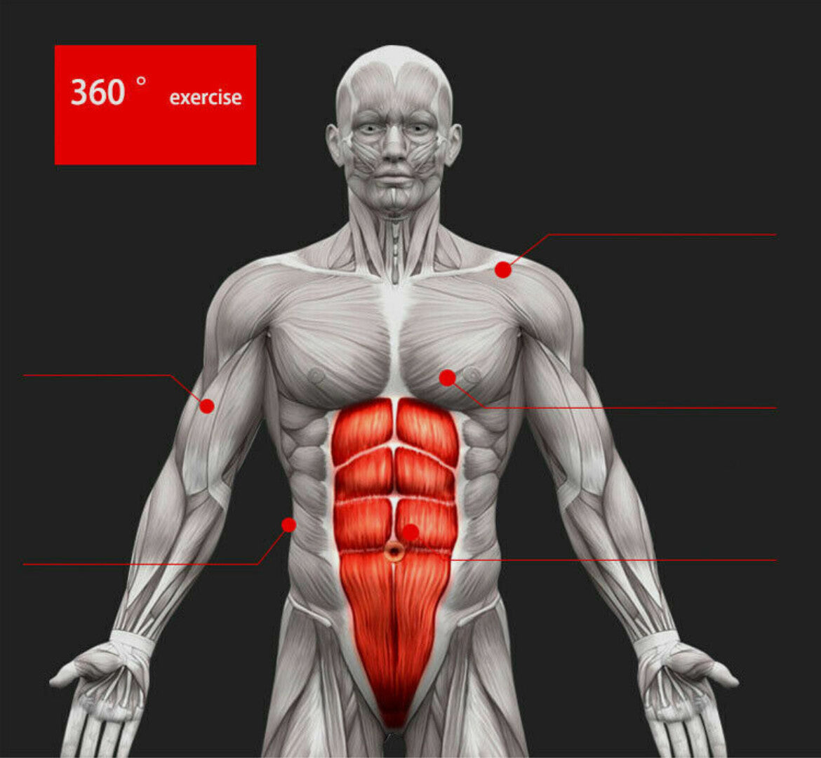 Pro Abs Roller Exercise