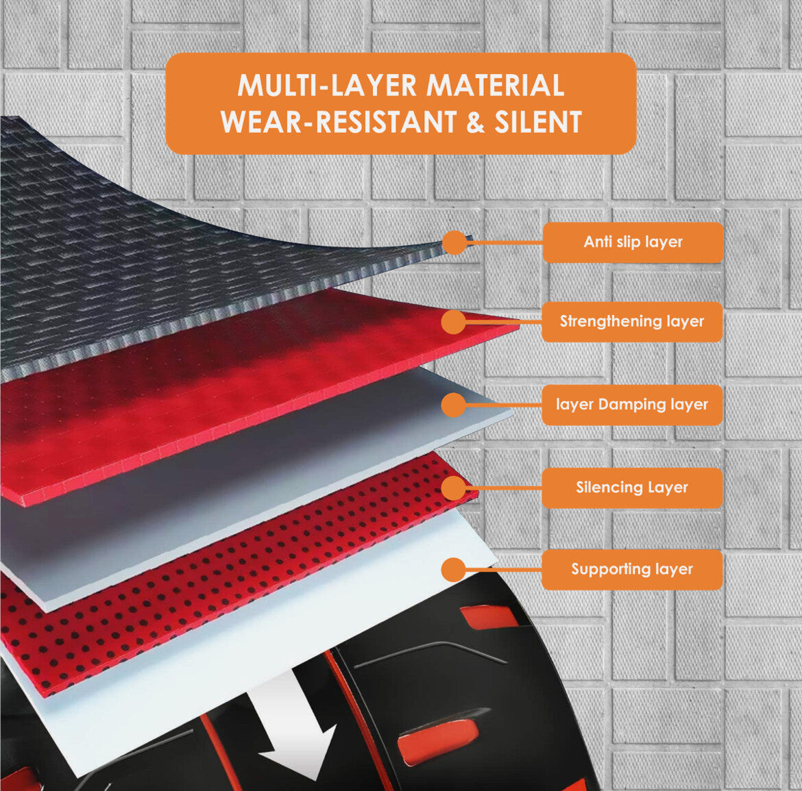 Pro Abs Roller Exercise