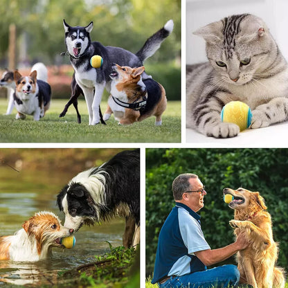 Scooby-Doo Durable Squeaky