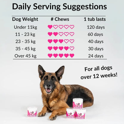 NutriPaw All-Itch Immunity Treats for Dogs