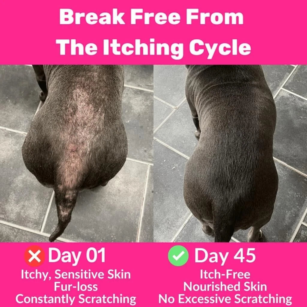 NutriPaw All-Itch Immunity Treats for Dogs